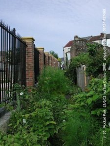 020621-35.jpg
