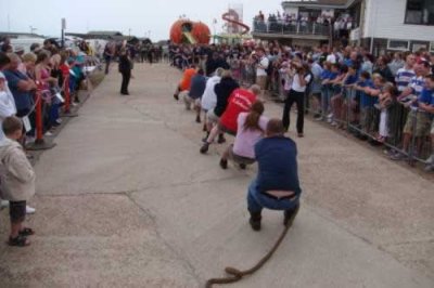2008.jpg