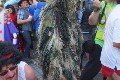 140730_304.jpg