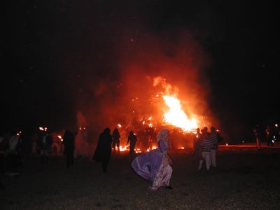 380.jpg
