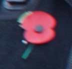 141109 032.jpg